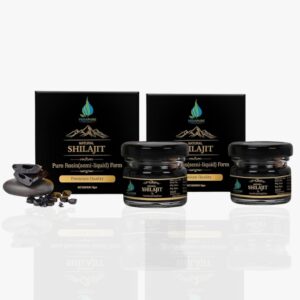 gallivant shilajit resin 20g – pack of 2 for stamina boost
